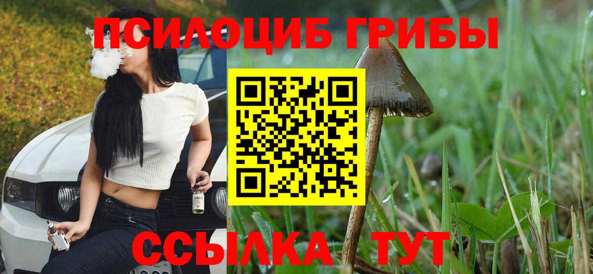 Псилоцибиновые грибы Psilocybe  Вход с VPN  Буйнакск  Псилоцибиновые грибы Cubensis 
